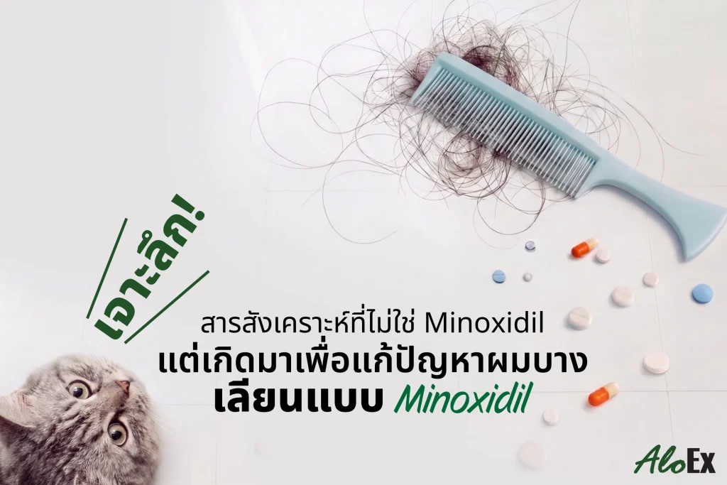 深度解析 —— 非 Minoxidil 的合成生发成分