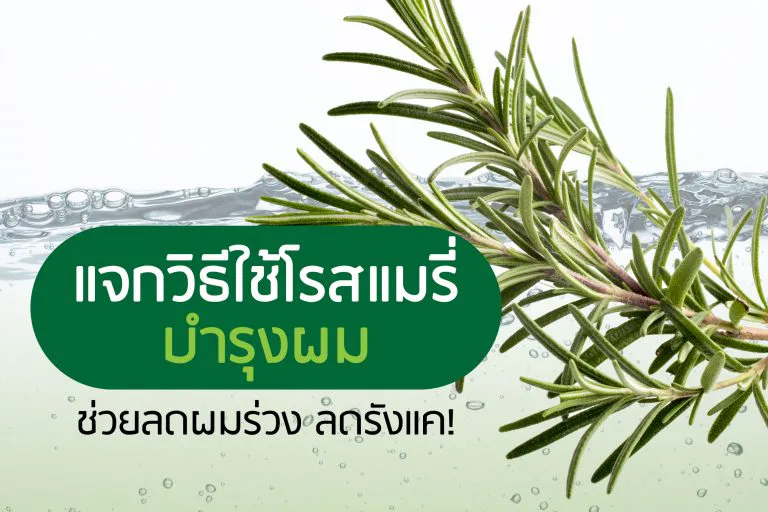 How to use rosemary for hair care