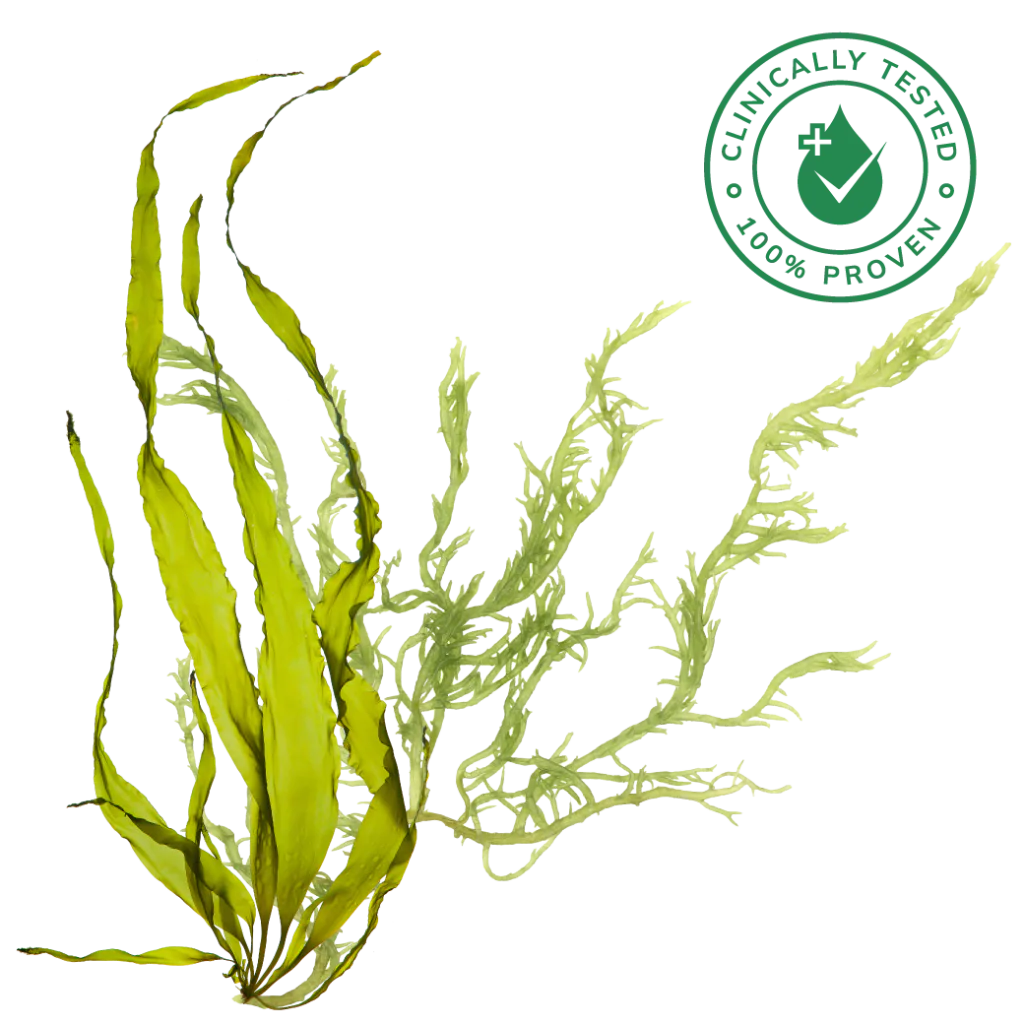 Densidyl extract