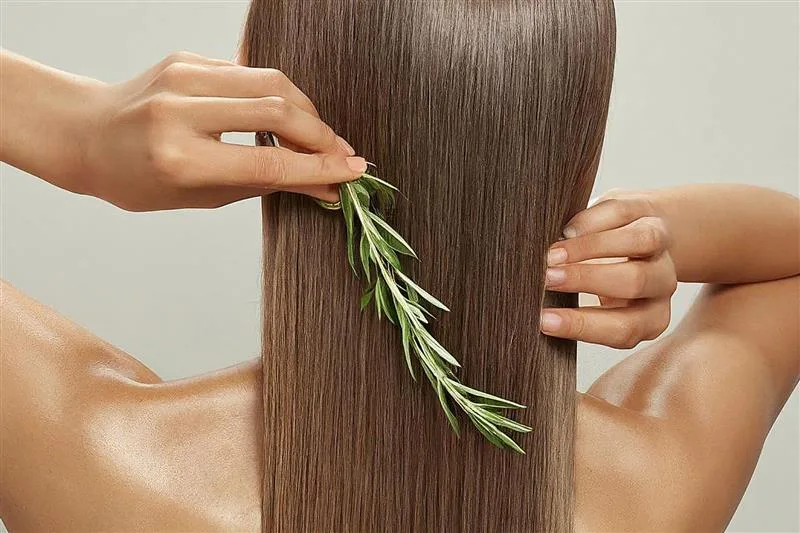 How does rosemary nourish hair?