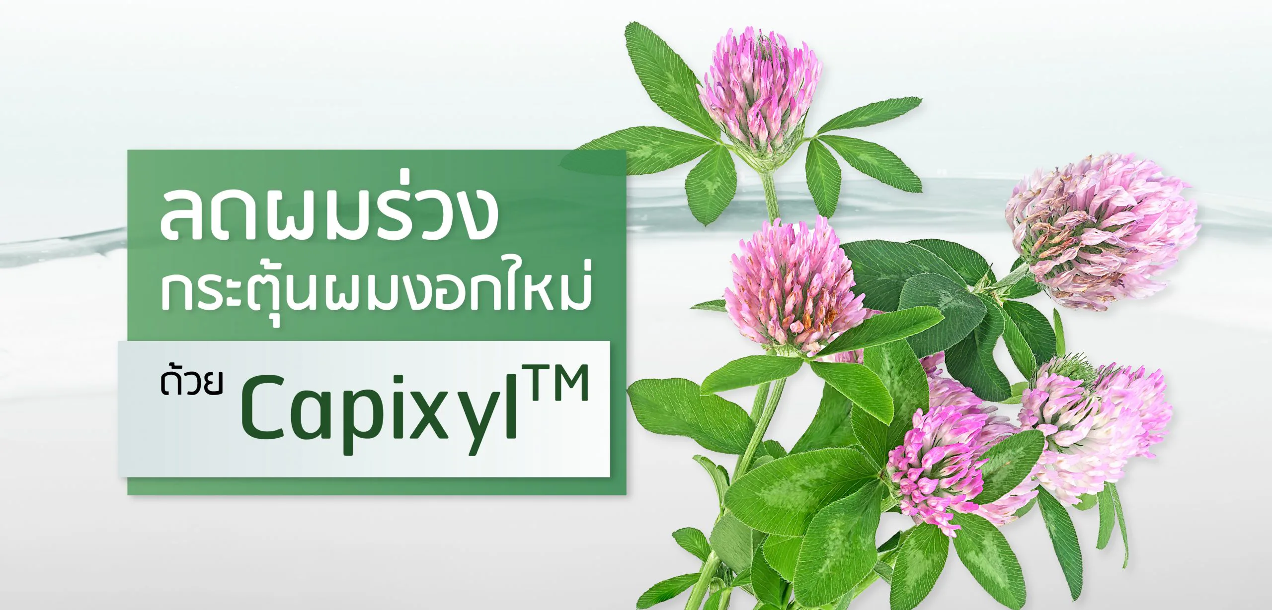 Capixyl — reduces hair fall, stimulates new growth