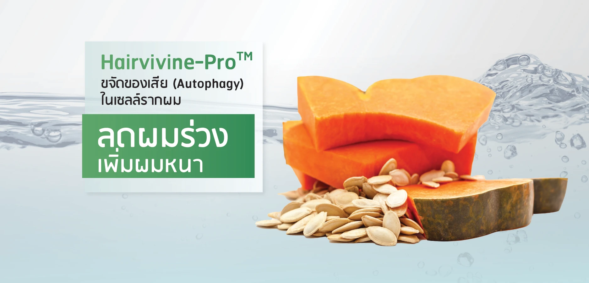 Hairvivine-Pro™ clears waste (autophagy) in hair-root cells — less shedding, more density
