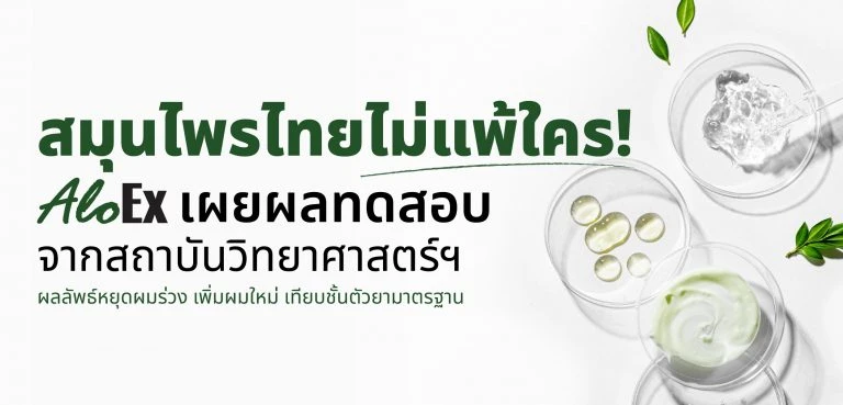 สมุนไพรไทยไม่ธรรมดา AloEx เผยผลทดสอบจากสถาบันวิทยาศาสตร์ ช่วยลดผมร่วง กระตุ้นผมใหม่ ให้ผลลัพธ์เทียบชั้นตัวยามาตรฐาน