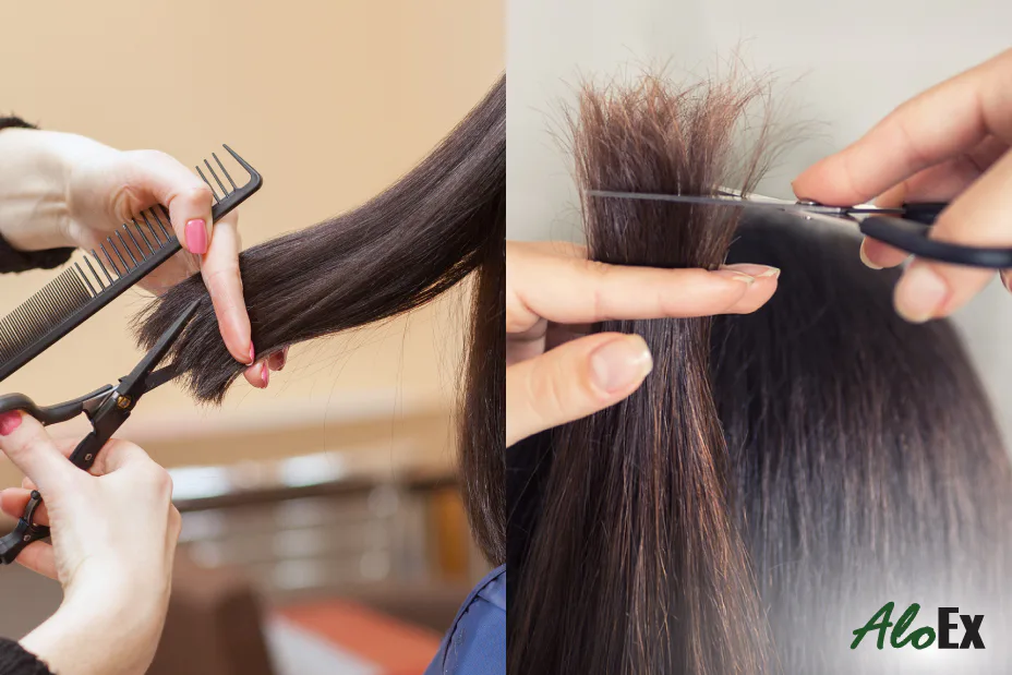 AloEx — how to manage hair loss during pregnancy effectively